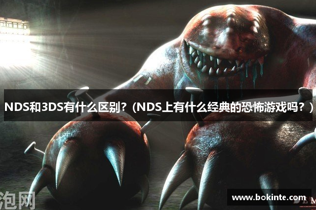 NDS和3DS有什么区别？(NDS上有什么经典的恐怖游戏吗？)