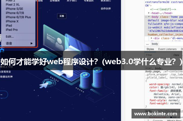 如何才能学好web程序设计？(web3.0学什么专业？)