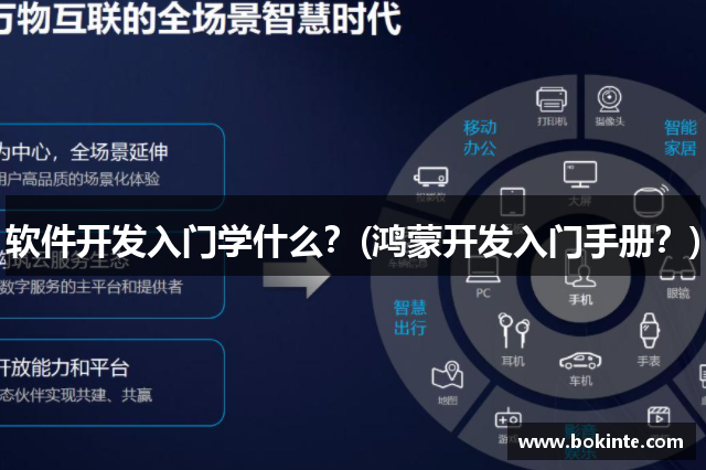 软件开发入门学什么？(鸿蒙开发入门手册？)