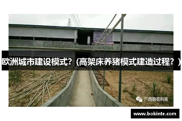 欧洲城市建设模式？(高架床养猪模式建造过程？)