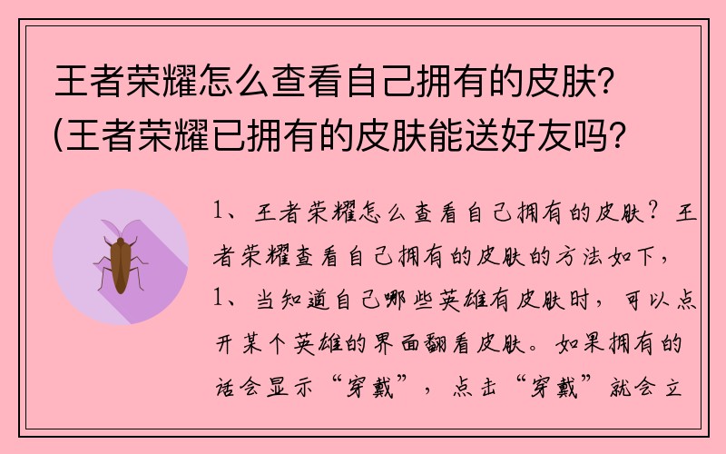 王者荣耀怎么查看自己拥有的皮肤？(王者荣耀已拥有的皮肤能送好友吗？)